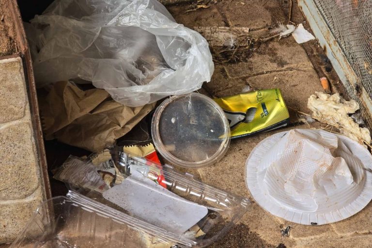 “Beco do crack” cresce a 1,5 km de delegacia e escolas na Asa Norte